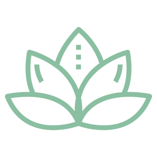 Lotus flower representing the spiritual element of retreats.