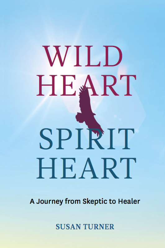 Front cover of Wild Heart, Spirit Heart book with turkey vulture image and sun burst signifying spirit.